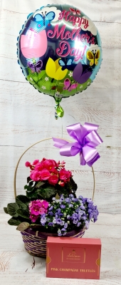 Flowering Basket Gift Set